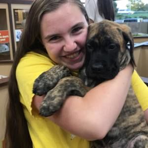 Meet your Posher, Alexa